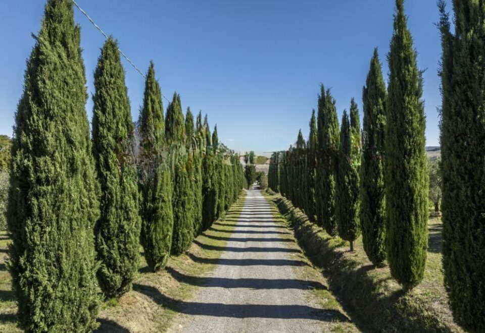 Tenuta Carpe Diem : Un Capolavoro di Vita Toscana vicino a un’Iconica Abbazia  Senese €3.500.000
